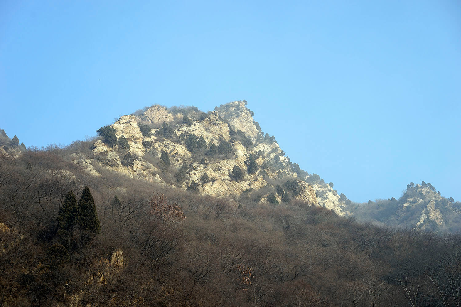 _DSC3778.jpg