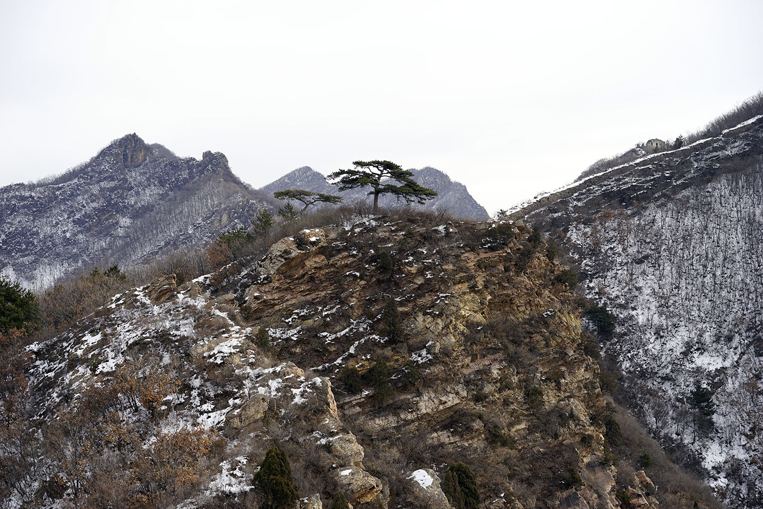 _DSC2161.jpg