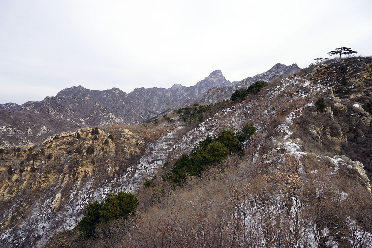 _DSC2128.jpg