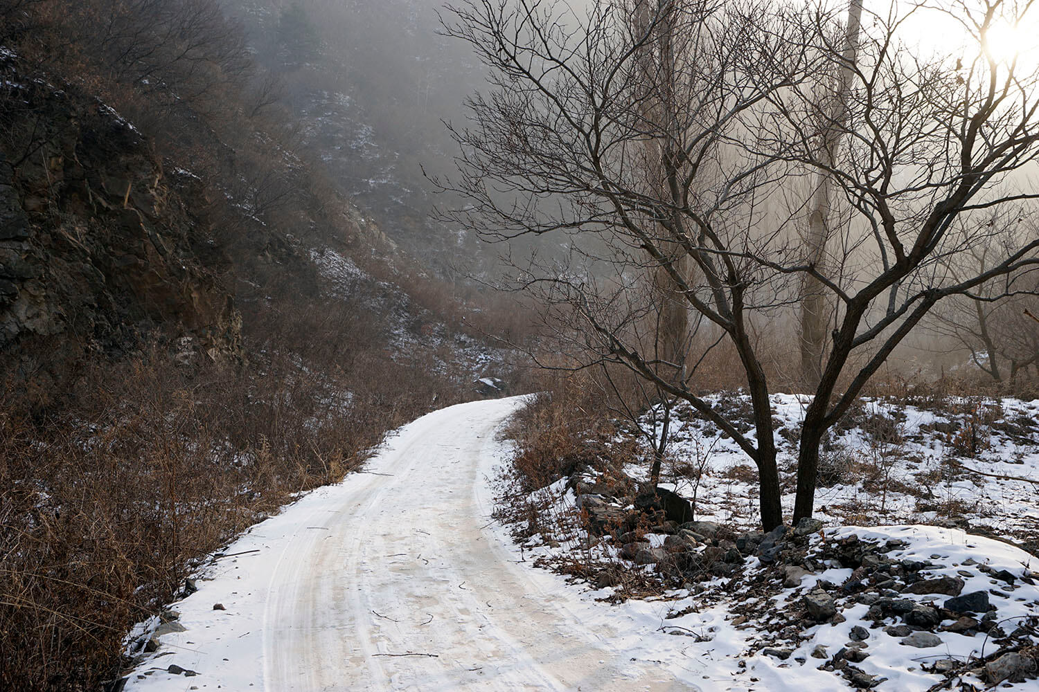 _DSC3785.jpg