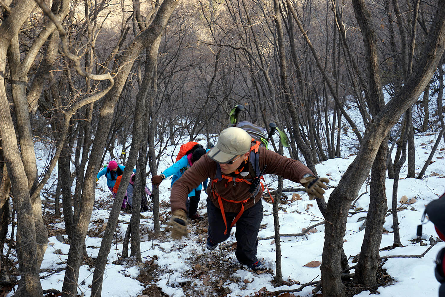 _DSC3715.jpg