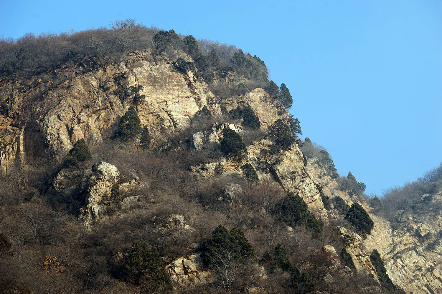 _DSC3772.jpg