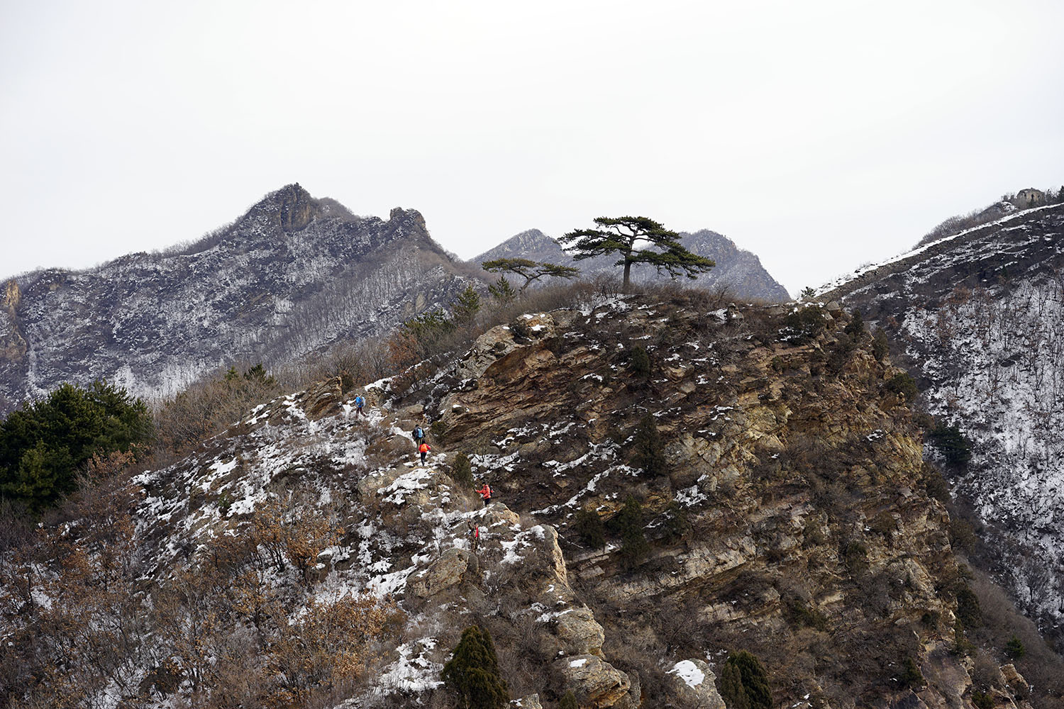 _DSC2120.jpg