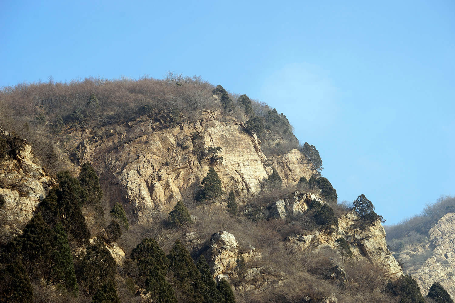 _DSC3769.jpg