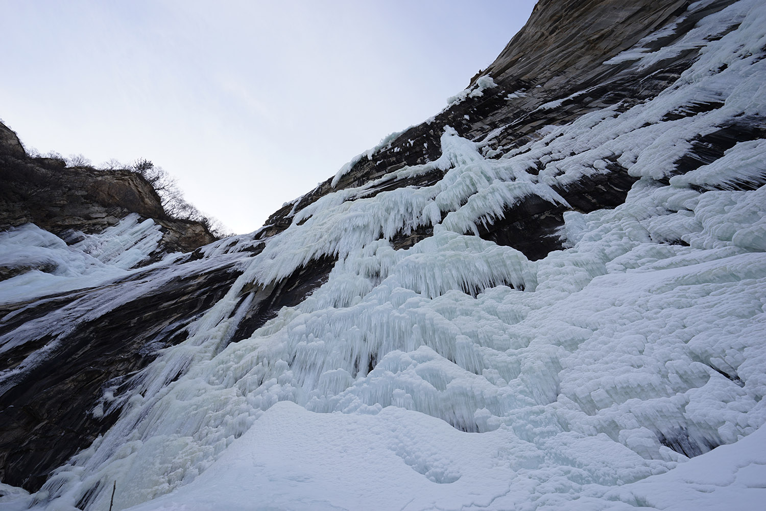 _DSC5218.jpg