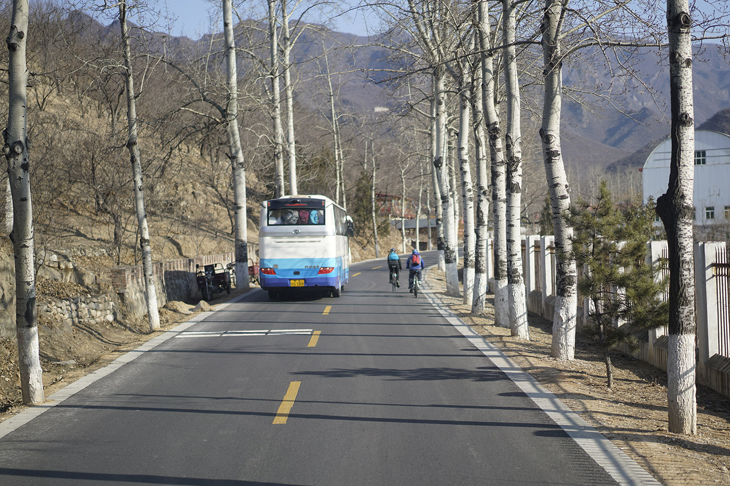 _DSC0163.jpg