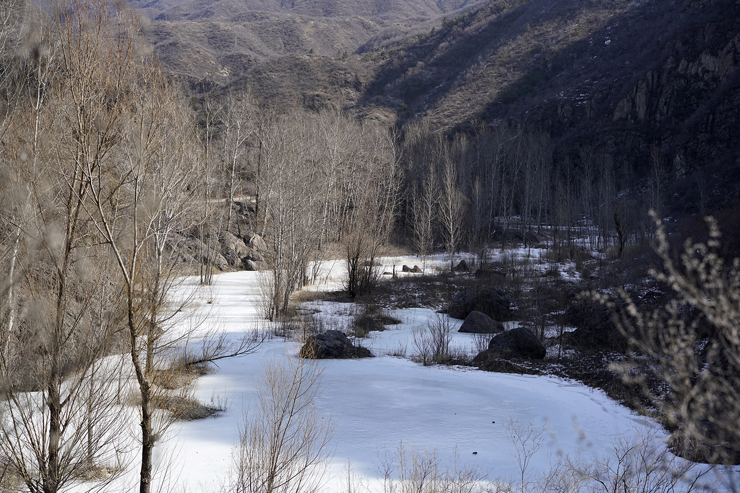 _DSC0178.jpg
