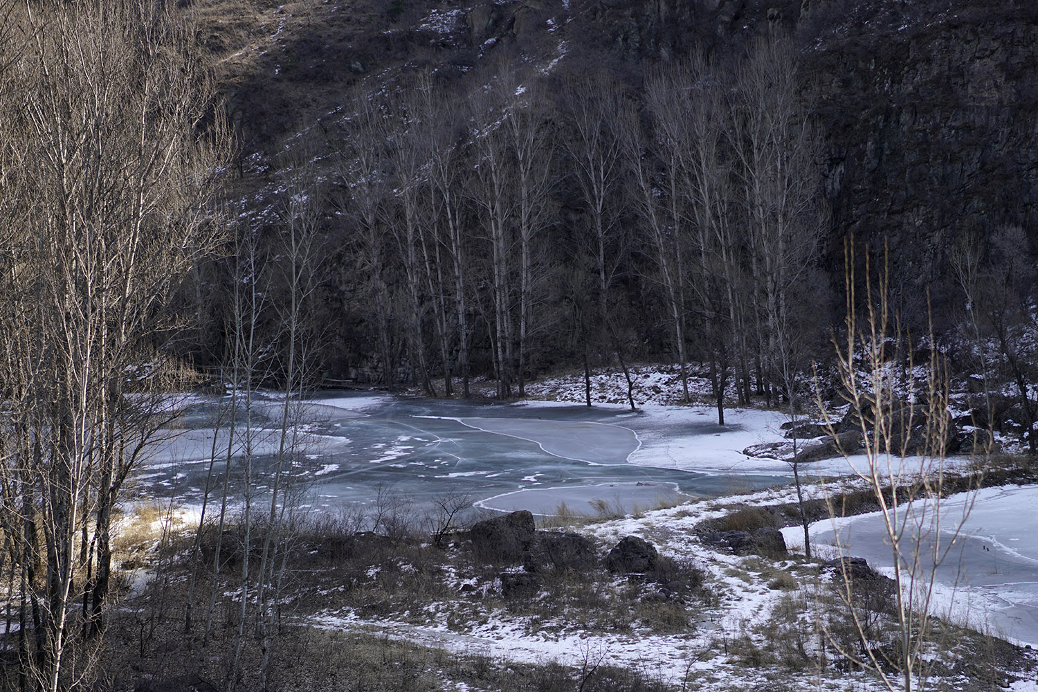 _DSC0175.jpg
