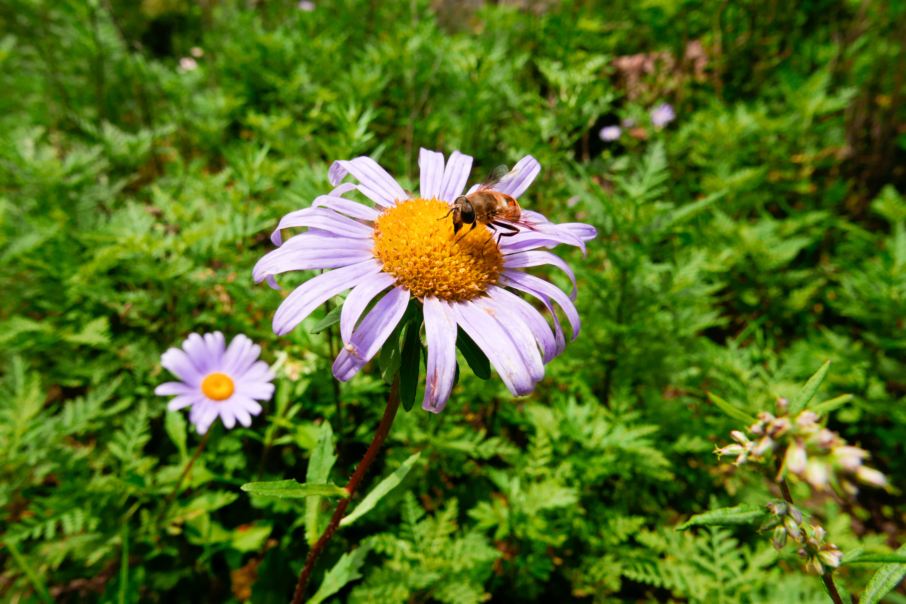 LRM_EXPORT_20160821_201423.jpg