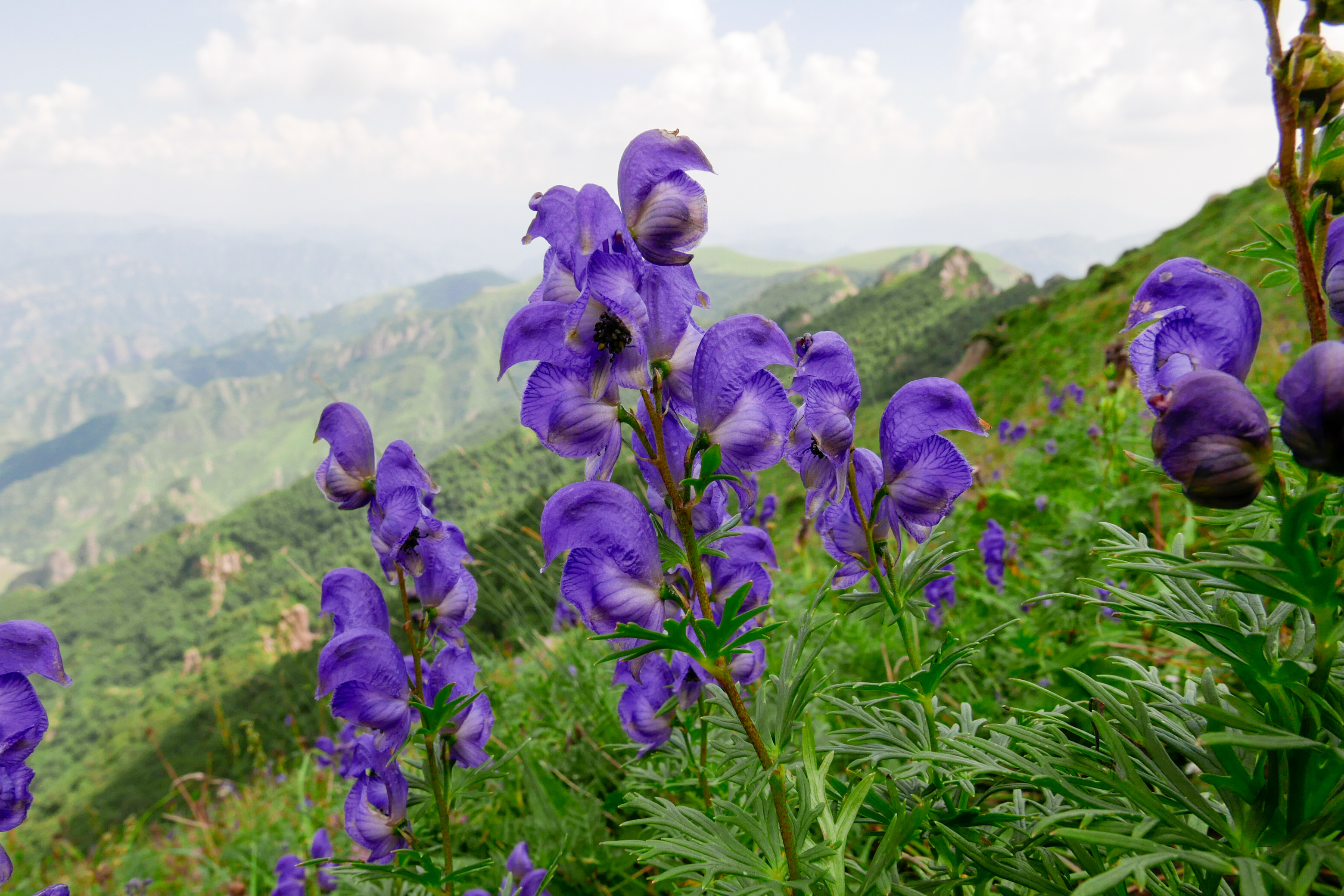 LRM_EXPORT_20160821_195152.jpg