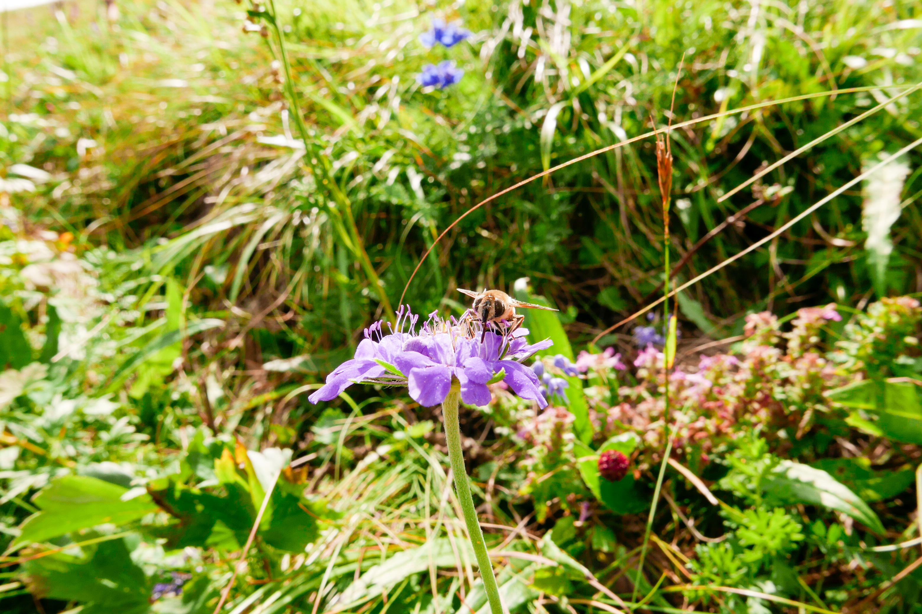 LRM_EXPORT_20160821_195107.jpg