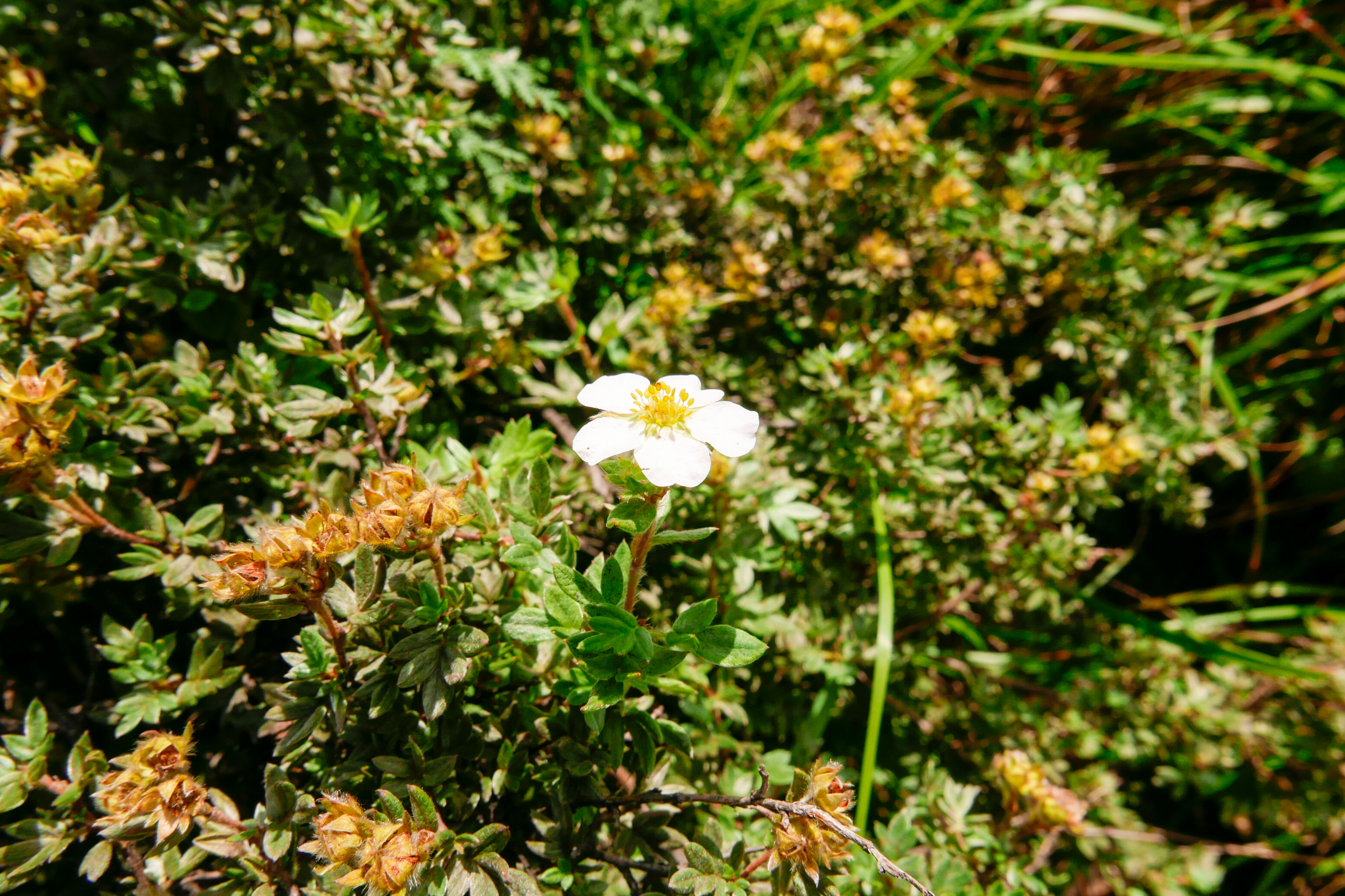 LRM_EXPORT_20160821_195620.jpg