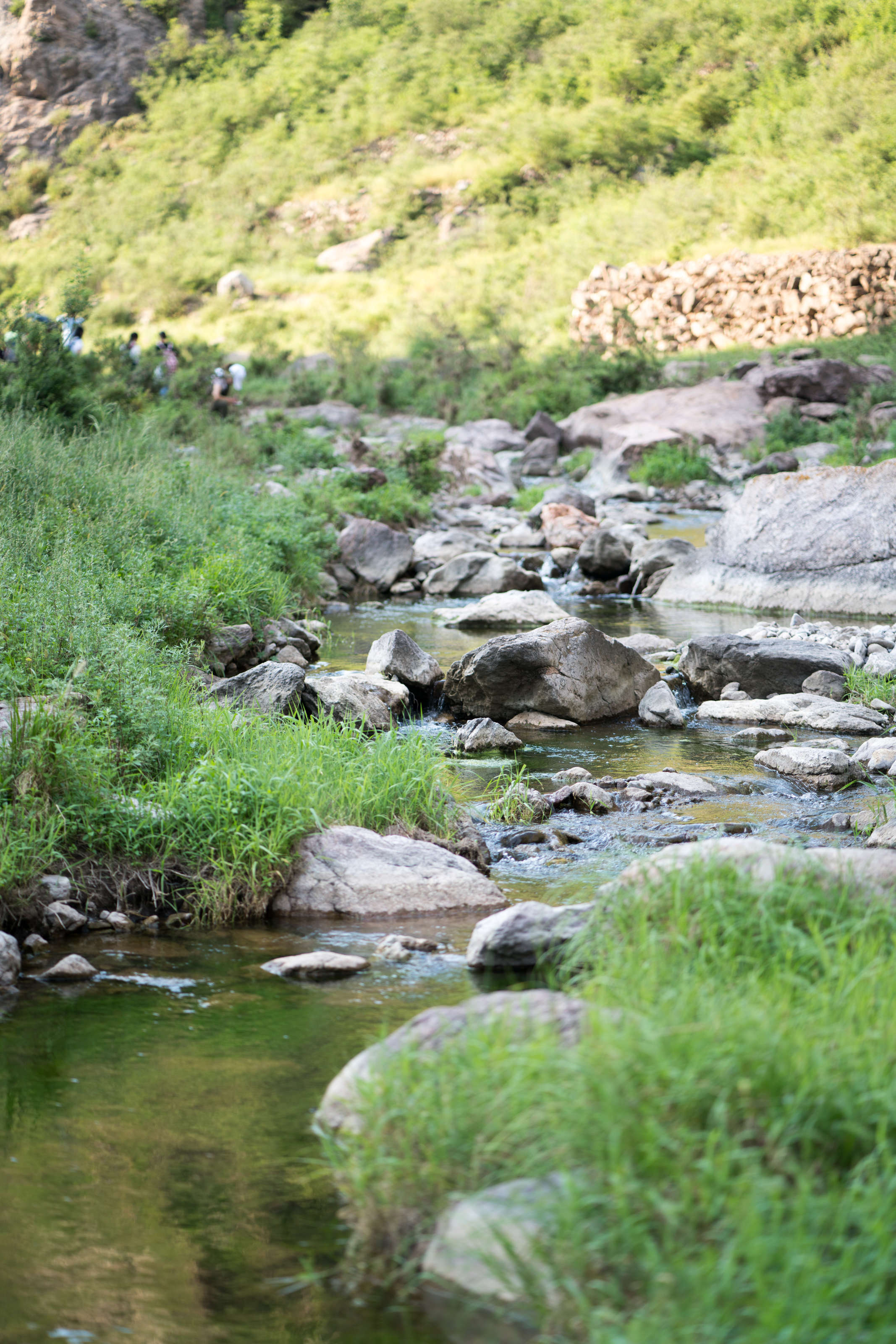 _DSC9254.jpg