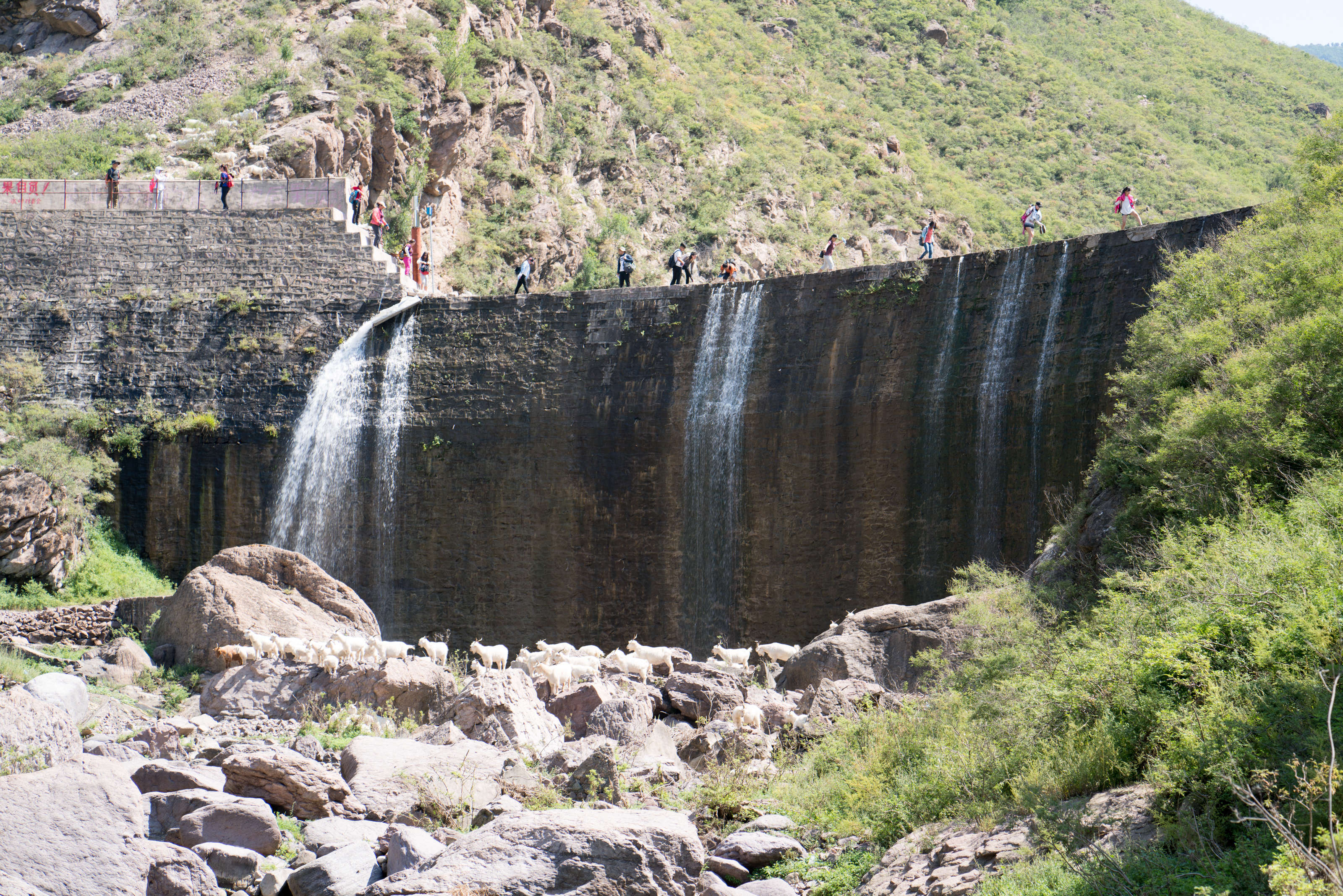 _DSC9040.jpg