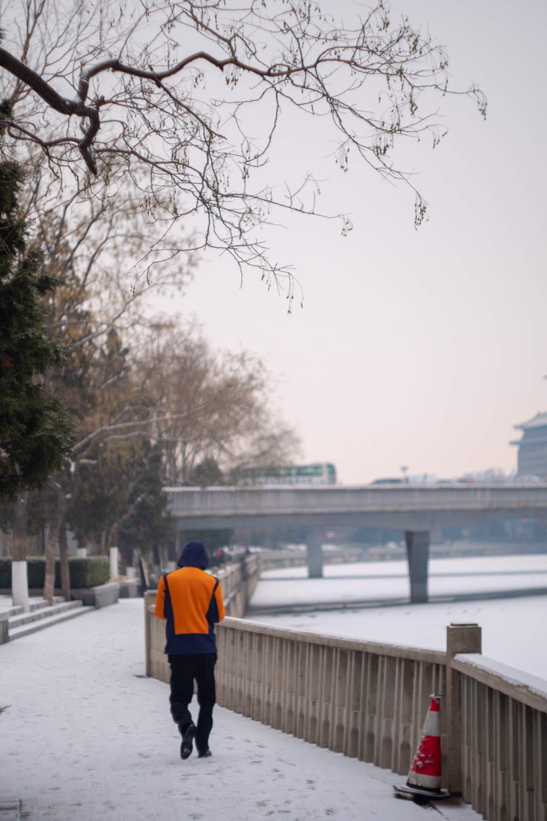 _XT23867.jpg _XT23867.jpg