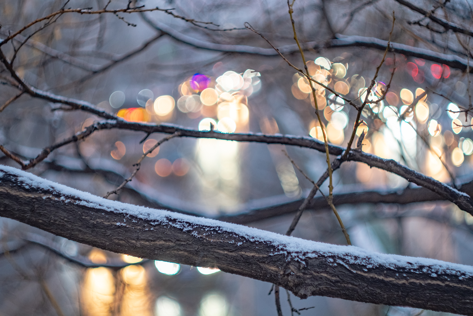 _XT23647.jpg _XT23647.jpg