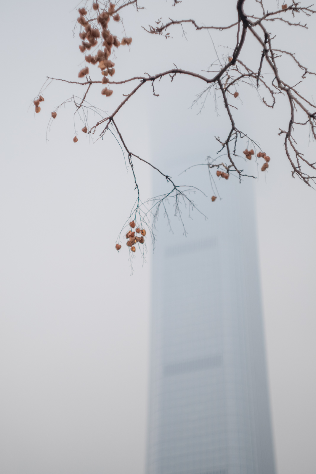 _XT24036.jpg _XT24036.jpg